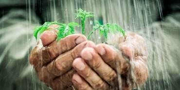 planta con agua simulando ahorro de agua y energía